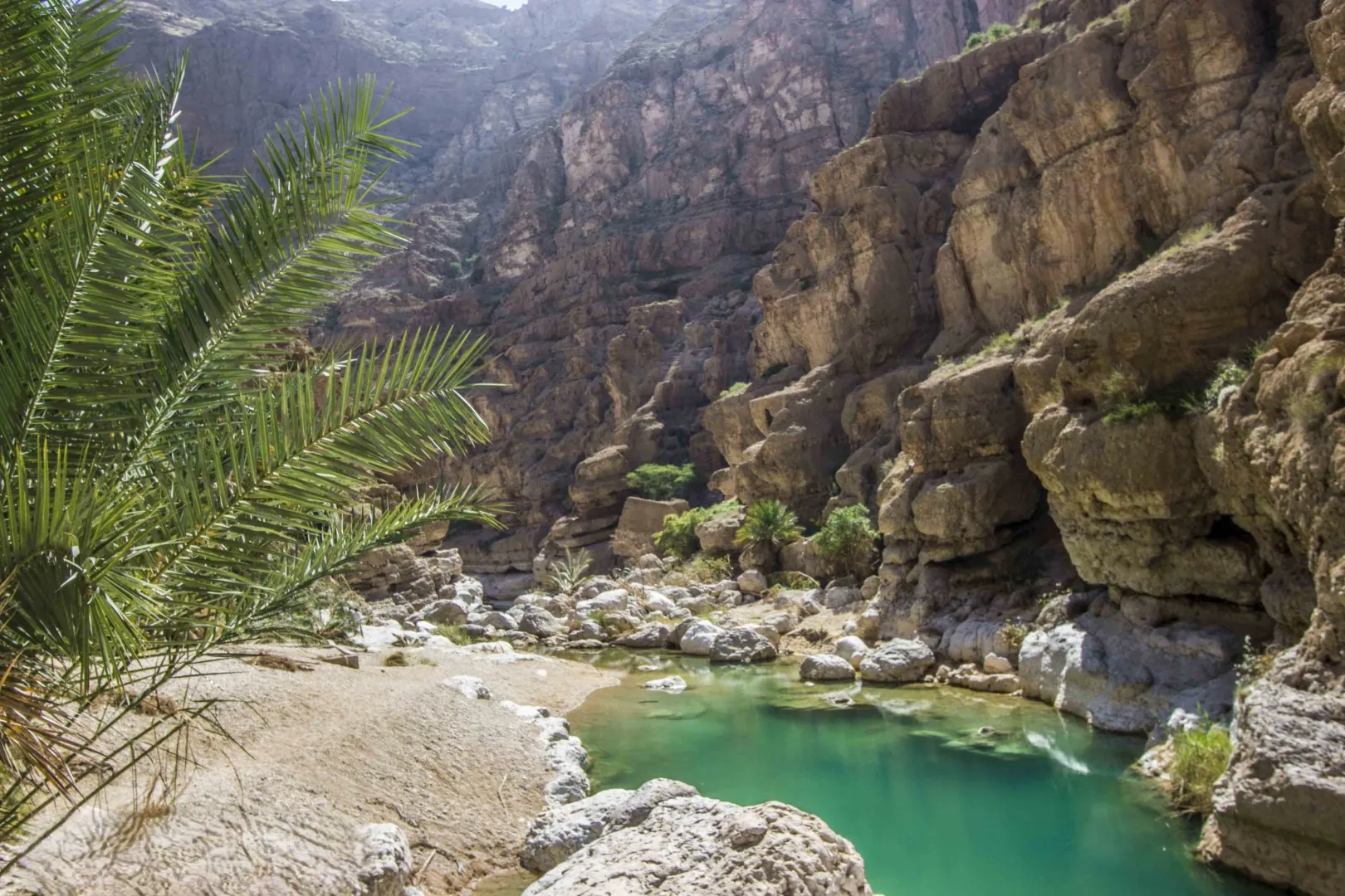 Oman Tour